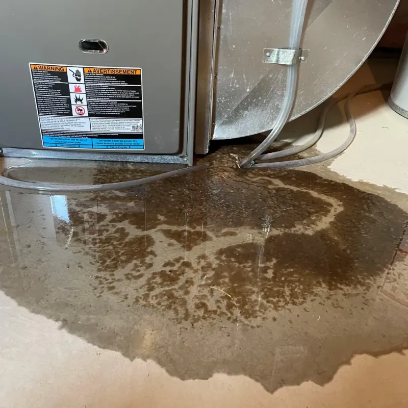 Appliance Leak Cleanup in Calera, OK